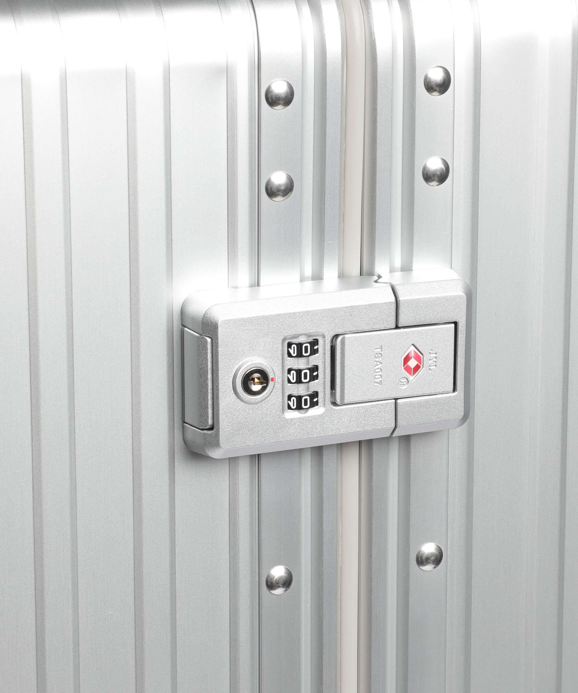 Aleon Classic 30 International Trunk Spinner (4 wheels) platinum - Image 3