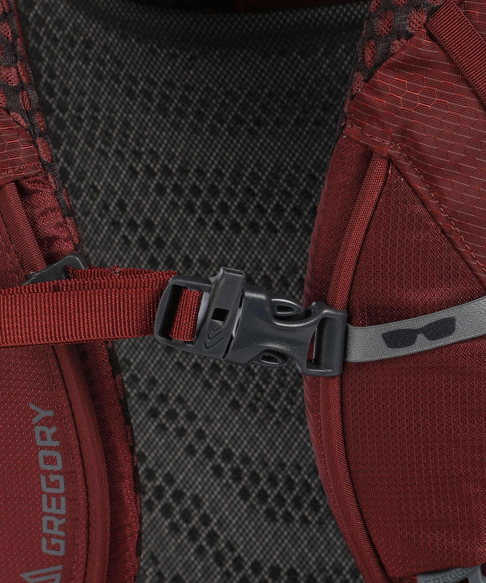 Gregory Baltoro 65 RC LG Trekking backpack brick red - Image 3
